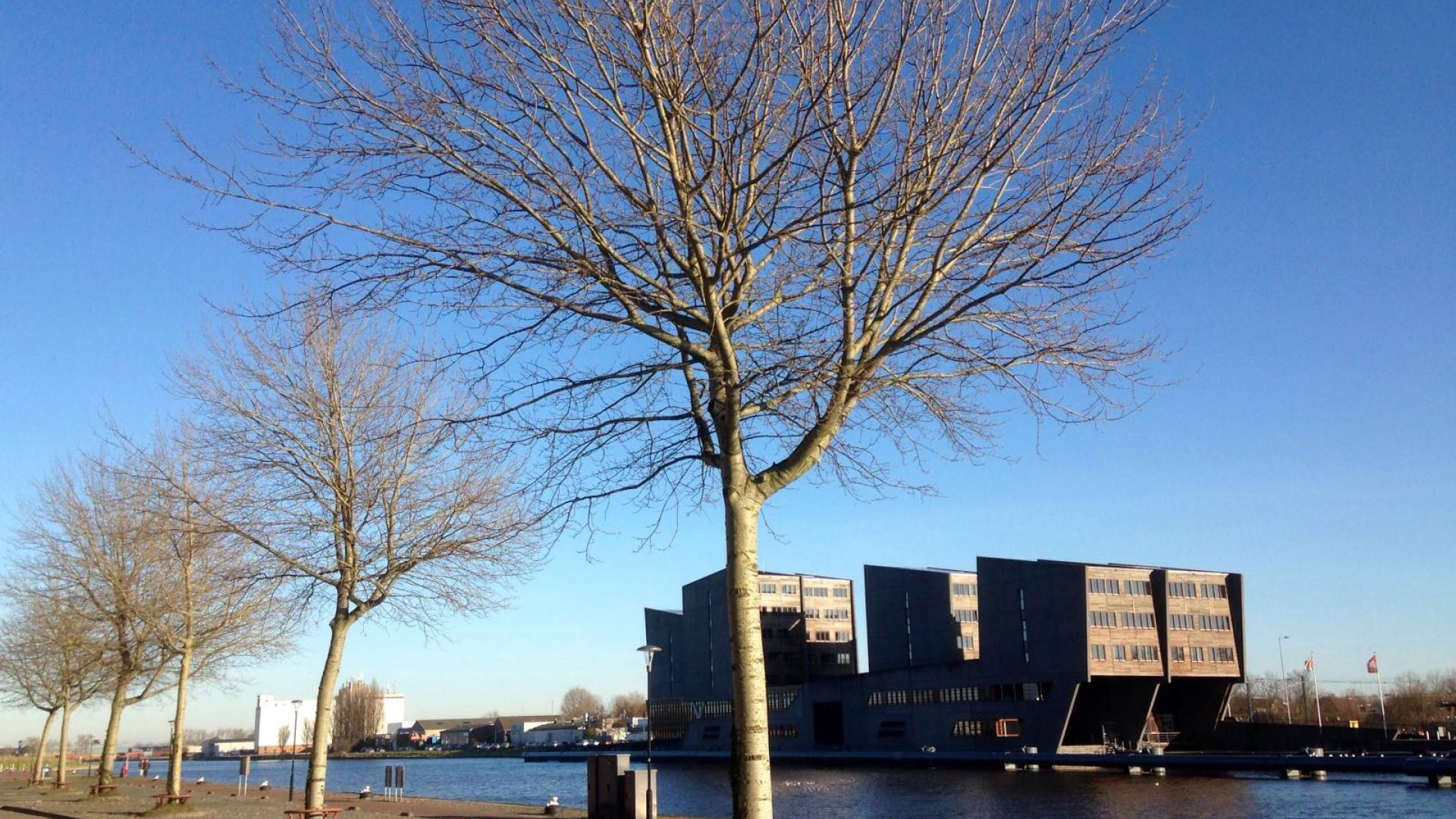 Bomen Loskade Middelburg
